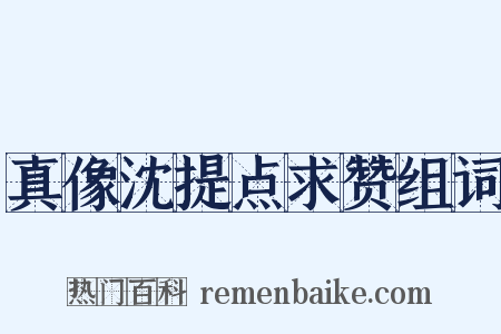 真像沈提点求赞组词是什么意思的图片